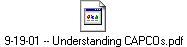 9-19-01 -- Understanding CAPCOs.pdf