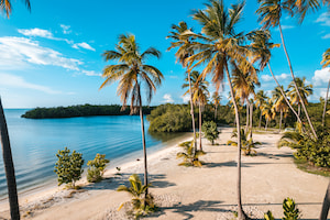 photo of a beach with palm trees in Puerto Rico