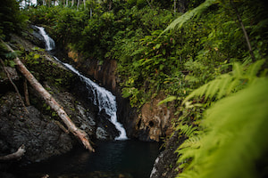 photo of a El Yunque National Rainforest, with a mountain stream cascading down a lush green slope