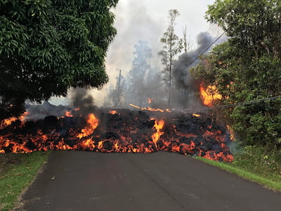 Photo of an active lava flow traveling over an asphalt road. Trees and brush are burning in its path.